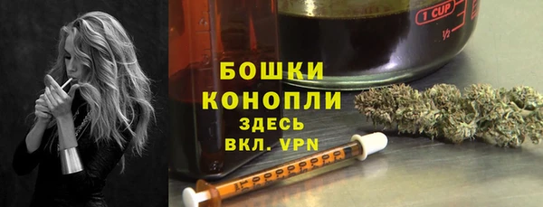 бошки Медногорск
