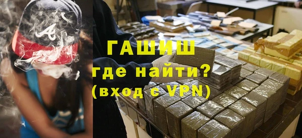 индика Ельня