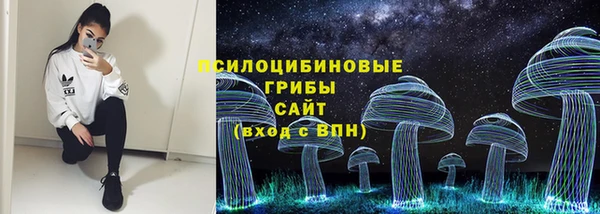 ECSTASY Мегион