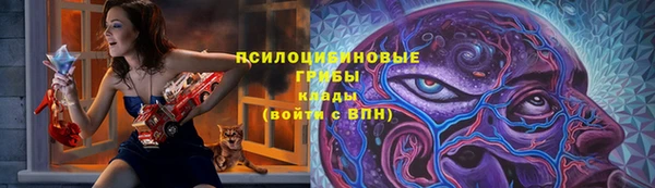 бошки Медногорск