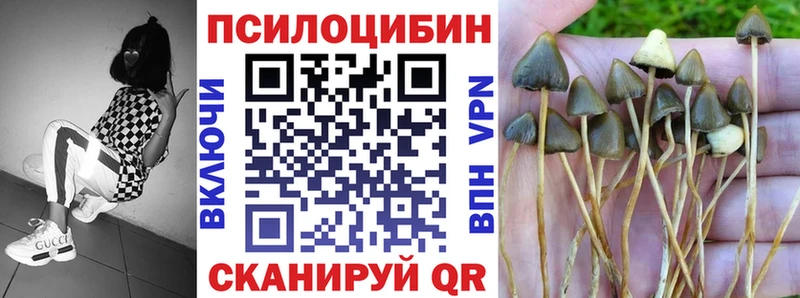 Псилоцибиновые грибы мухоморы  Москва 