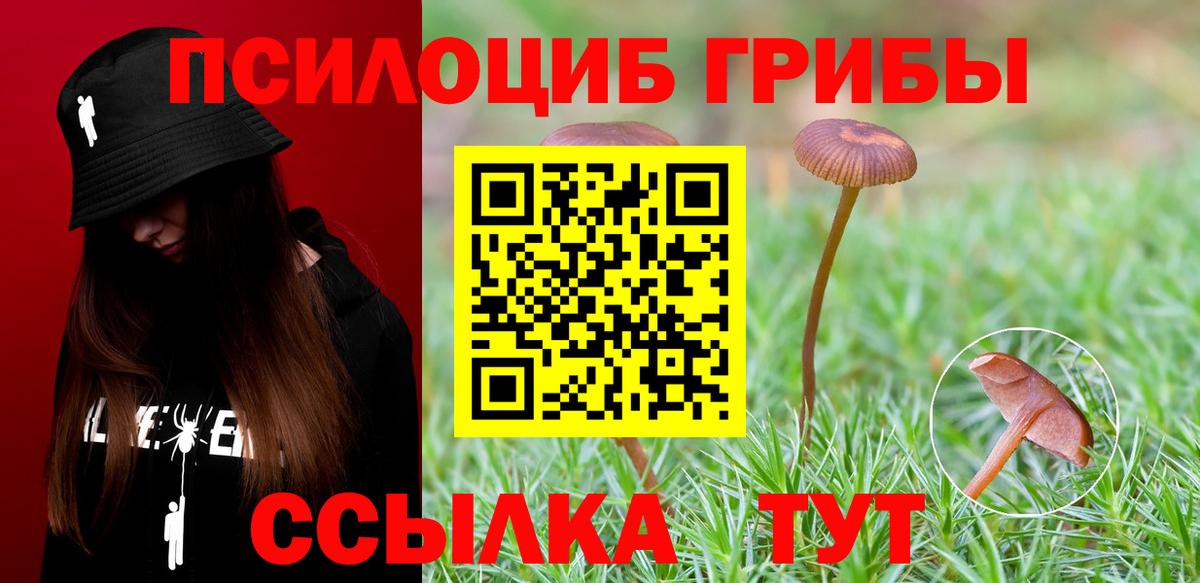 Галлюциногенные грибы GOLDEN TEACHER  Вход с VPN  Москва 